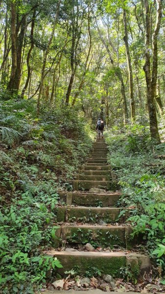 滿東步道來回~硬硬的有操880951