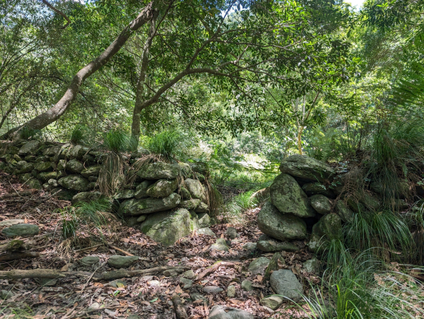 【西拉歐卡沒有O —未竟之旅】