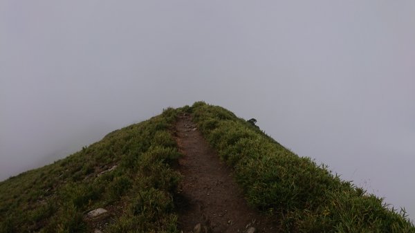 雲霧飄渺合歡主峰1097281