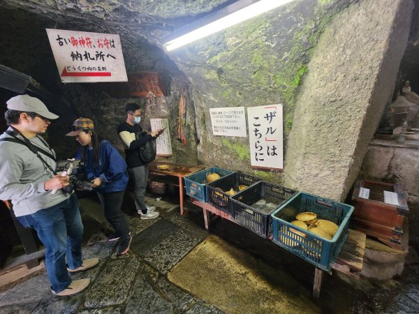 20251128橫須賀軍港遊船+鎌倉大佛步道2962727