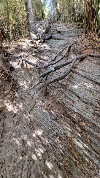 合歡西峰單攻1216984