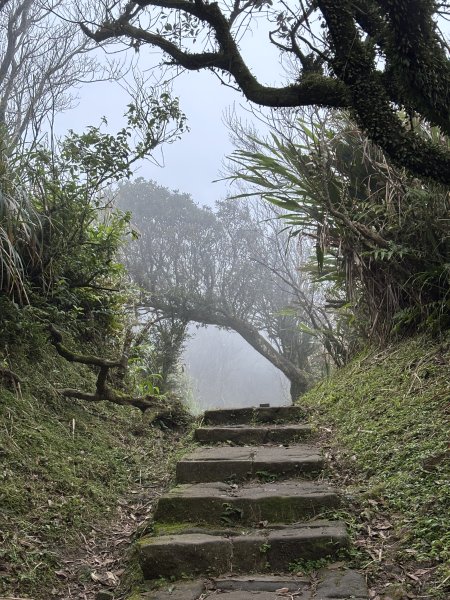 陽明山東西大縱走-東段2984515