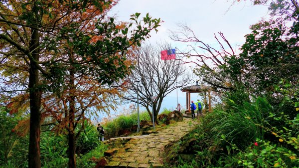 你若來汐止2961413