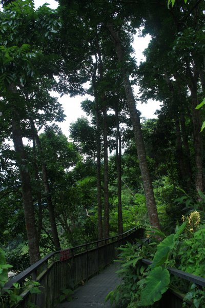 雲林．古坑萬年峽谷2023/07/152237789