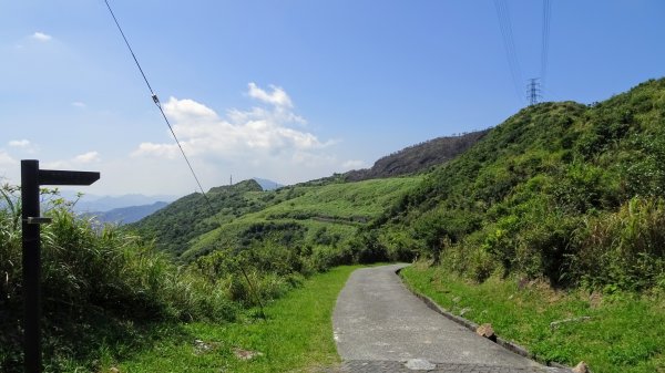 大粗坑步道,露頭步道1866717