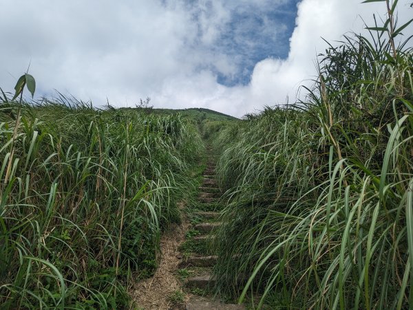 臺北大縱走第二段：小油坑至清天宮2282605