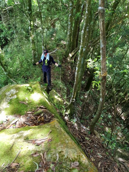 復興三尖之那結山1423096