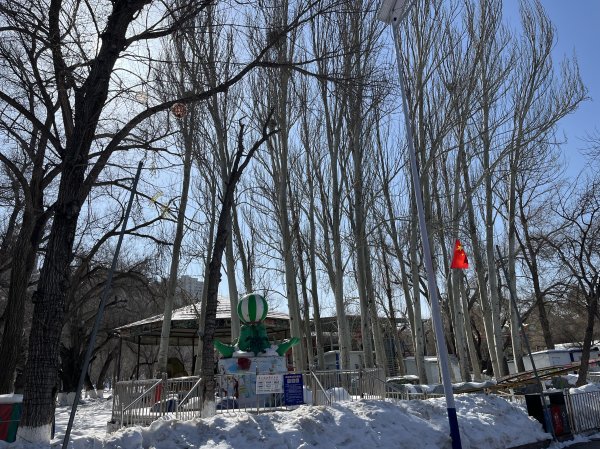 2025_0302 烏魯木齊快閃 - D3b 南公園2728138