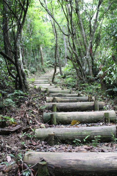 淡蘭中路平湖西步道1002833