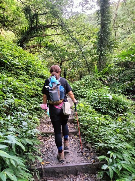 抹茶山、三角崙山東南峰、三角崙山1750188