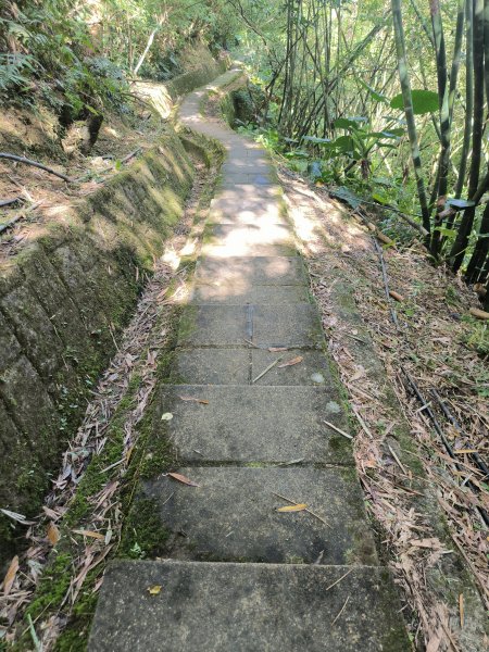 20251010微笑山線：【五分山系】平溪小黃山段 - 健行筆記2910176