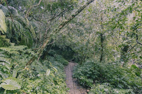 [新北]二格山2730229