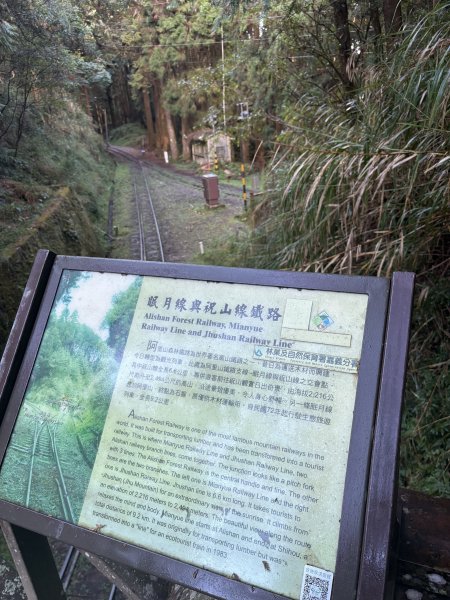 20251225塔山步道(大塔山)2970319