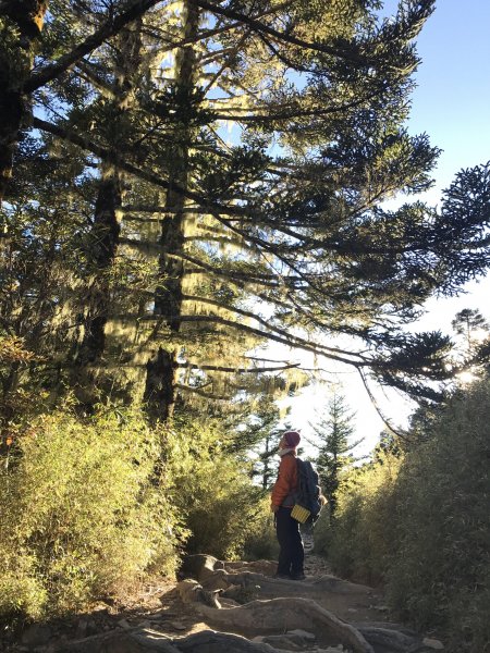 雪山 不下雪532988