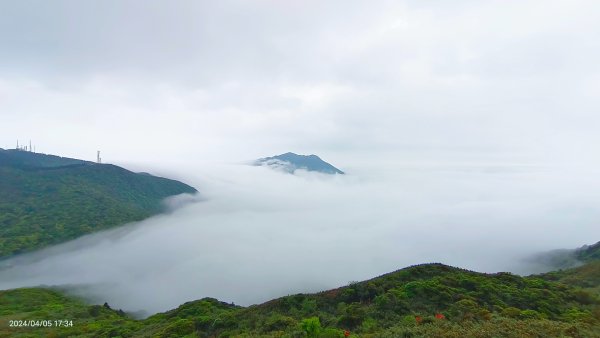 大屯山琉璃光雲海&雲瀑4/52472823