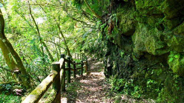 畝畝山。又上說2768121