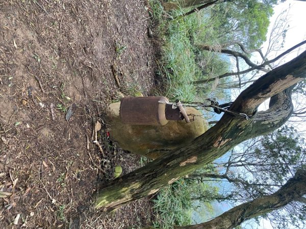 苗栗三義-三員縱走2616437