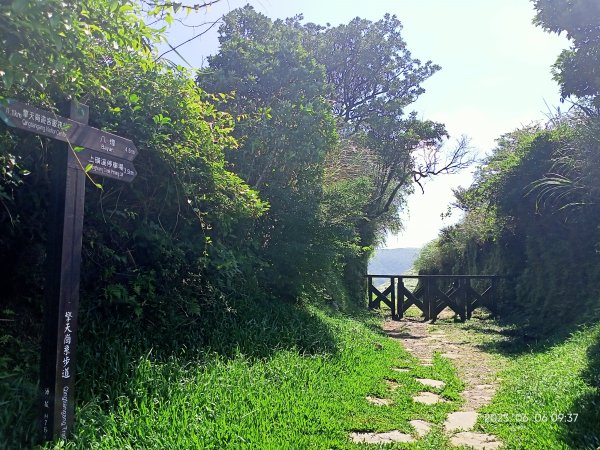 金包里大路(擎天崗至上磺溪停車場段)【走遍陽明山】2174784