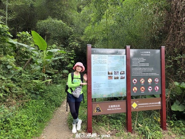 【台中和平】橫嶺山自然步道_木馬古道3095037