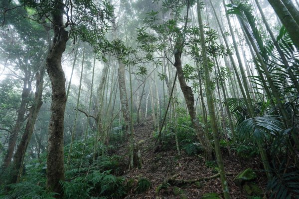 新竹 五峰 鬼澤山2634015