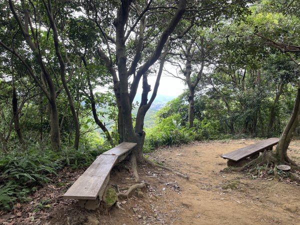 [微笑山線_第一段] 2025_0720 大棟山系_鎮遠山2843572