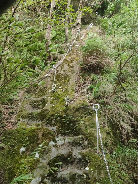 微笑山線：【五分山系】菁桐煤礦段、平溪小黃山段、望古瀑布段2841293