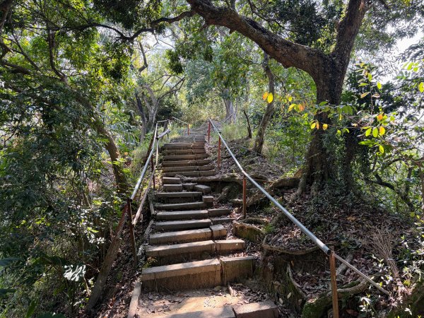 南觀音山步道2731294