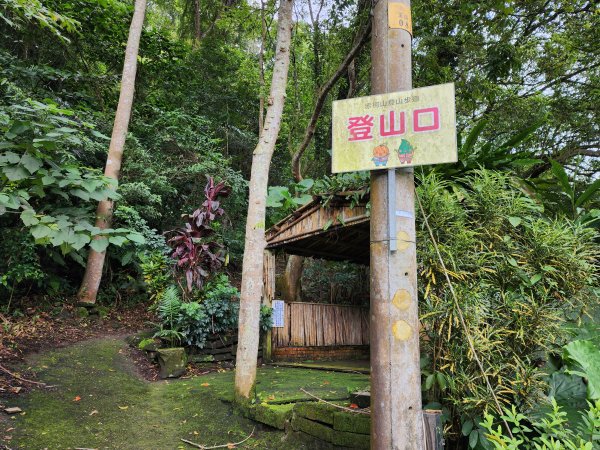 關西赤柯山、東獅頭山步道2395150