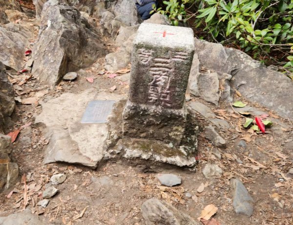 【中級山】谷關七雄波津加山2742316