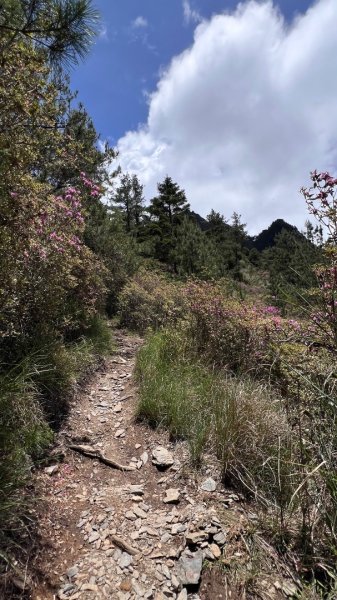 桃山、喀拉業2816814