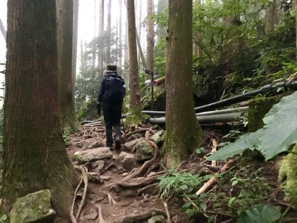 搭過山車飛越哈加縱走1132950