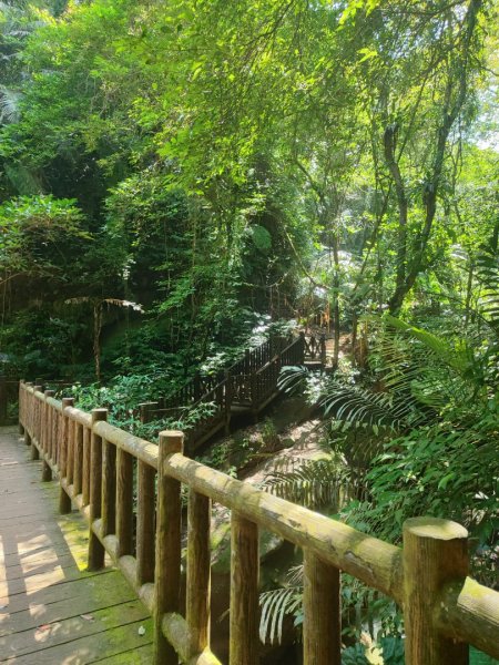 獅山古道3117398