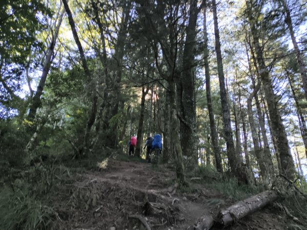 北一段(02/14)多加屯前峰2025_0906~132885122