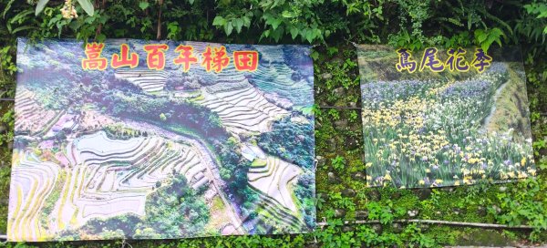 百年嵩山梯田&阡陌步道3051327
