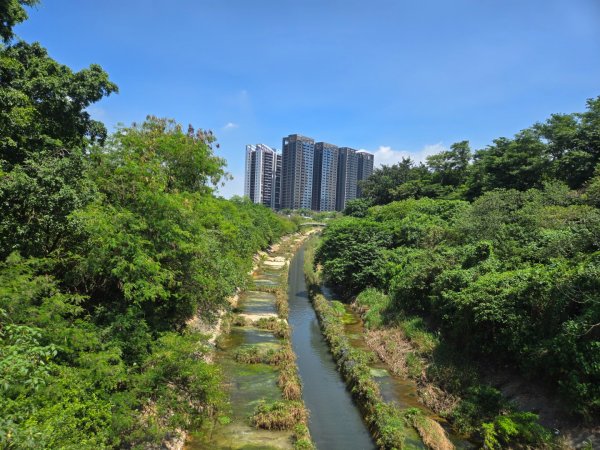 高雄都會公園3119755