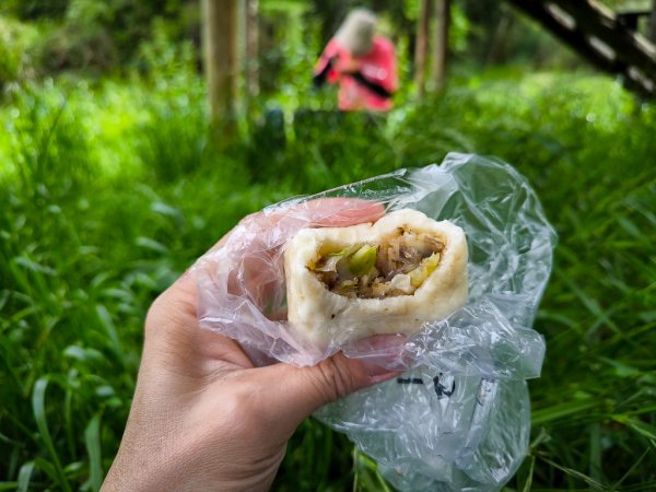 2025-05-17 羅葉尾溪秘境2792401