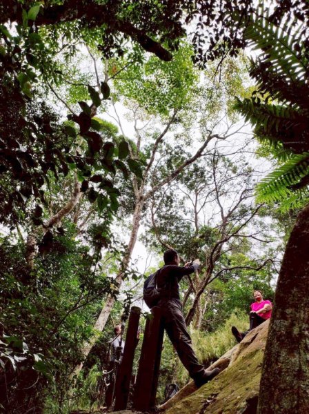 馬那邦山（珠湖登山口）2933945