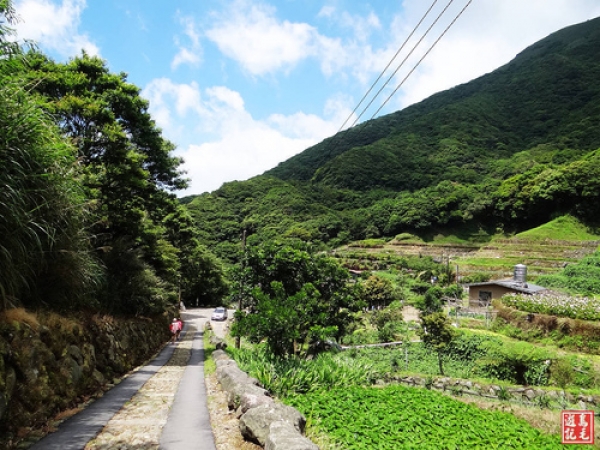 【台北市】大梯田休閒生態農園