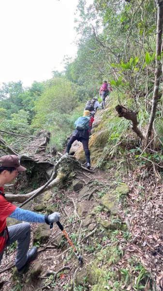 微笑山⛰️線-大棟-二格山-五分山-天上山-鳶山💎12條步道完成💙2836363