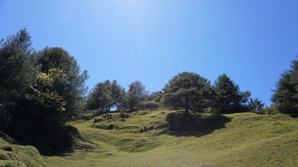 麟趾山。鹿林山1041873