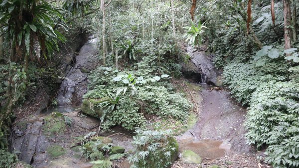 獵貍尖步道連走烏塗溪步道登山健行趣(淡蘭南路TK3-6&TK3-5&TK3-4)2404525