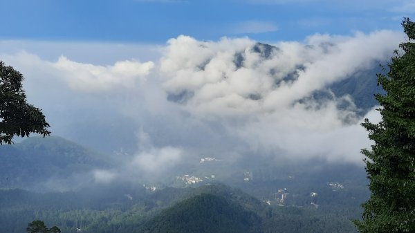 《南投》銀杏湖｜杉林溪青龍瀑布越嶺古道燕庵步道202210151880117