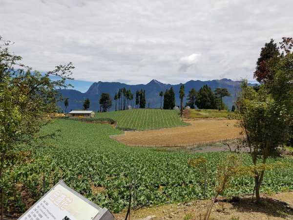 台中梨山，天池，福壽山農場，大肚萬里長城登山步道，苗栗劍潭古道，口山步道，獅頭山，獅山古道1646215