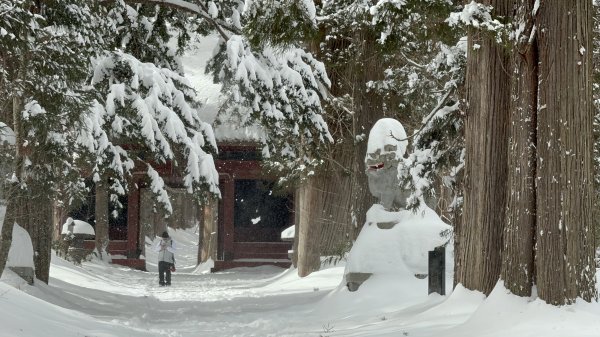 戸隠神社2439852