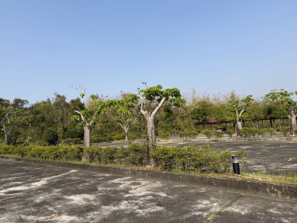 2026_0307 高雄田寮元辰殿3016351