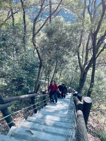 20241230 台中谷關捎來步道2739161