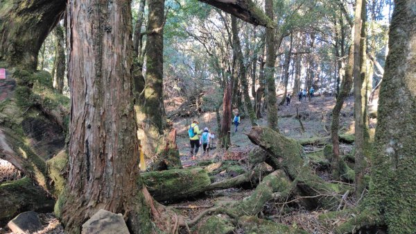 惠蓀大O聖逆走二部曲  2024年12月29日2679249