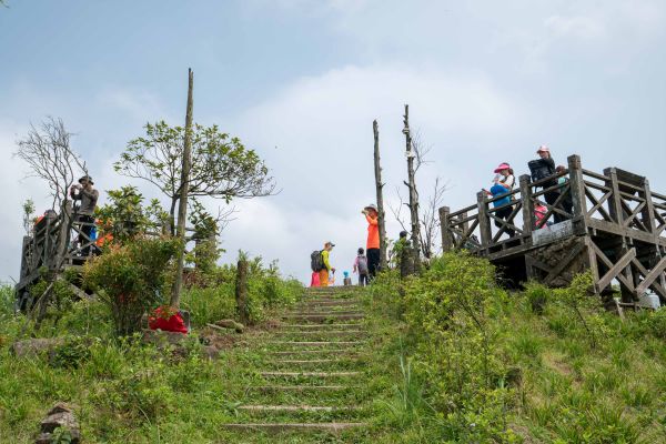 姜子寮山步道360453