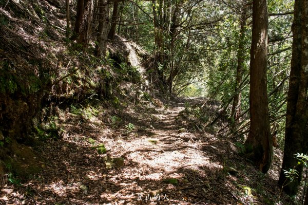 霞山鐵道野營2843119
