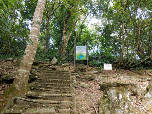 花蓮鯉魚山(小百岳#89)1026503